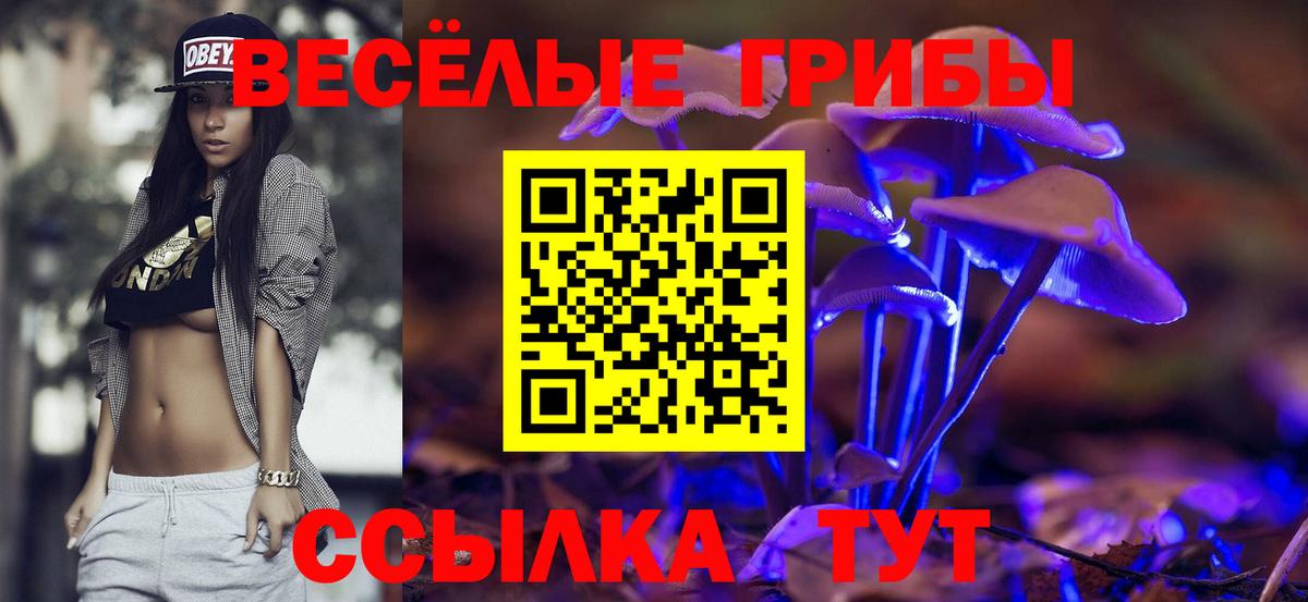 Псилоцибиновые грибы MAGIC MUSHROOMS  Галлюциногенные грибы мицелий  Магадан  Вход с VPN 